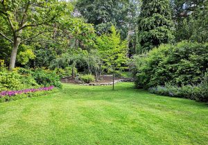 Optimiser l'expérience du jardin à Biesles